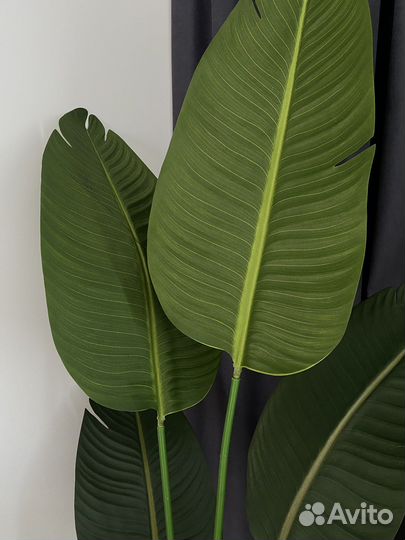 Искусственные цветы большие