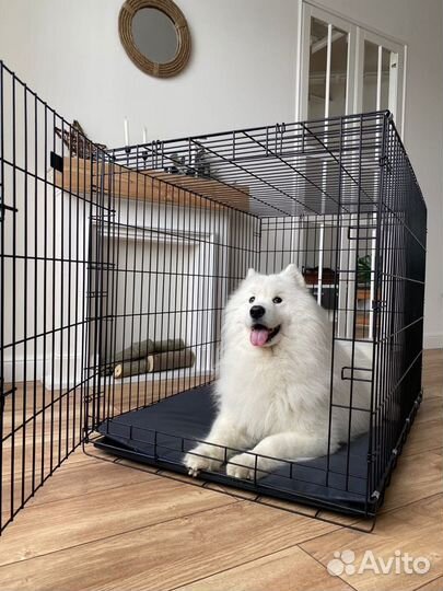 Новый Вольер для собак