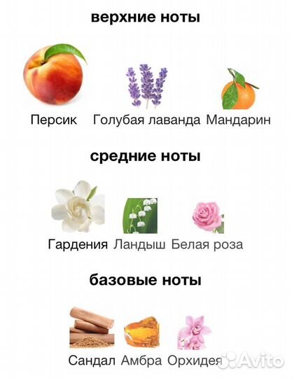 Парфюм Furla Magnifica