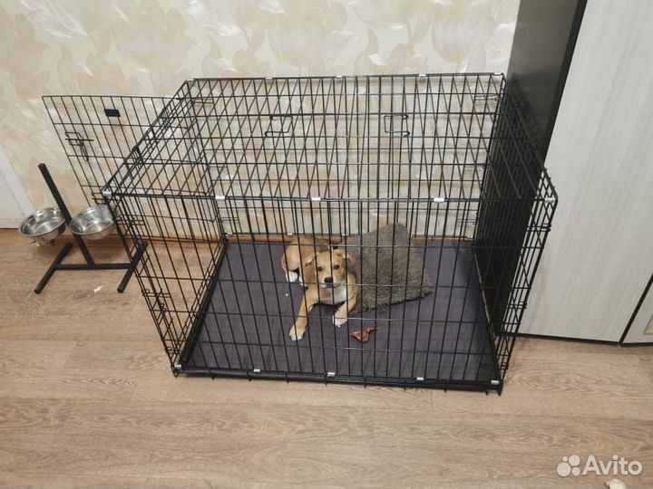 Клетка для собаки (108х72х77) Клетка №5