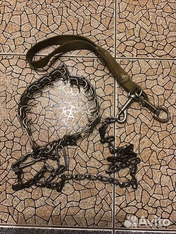 Строгий ошейник для собак