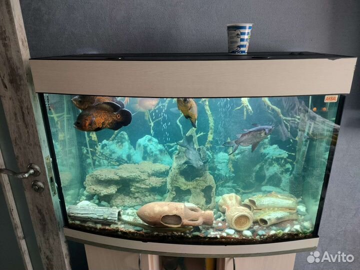 Аквариум с тумбой 230литров