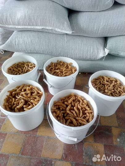 Корм для прудовых, аквариумных, кои рыб