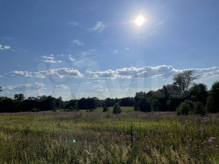 Участок 8,2 га (СНТ, ДНП)