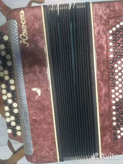 Баян юность