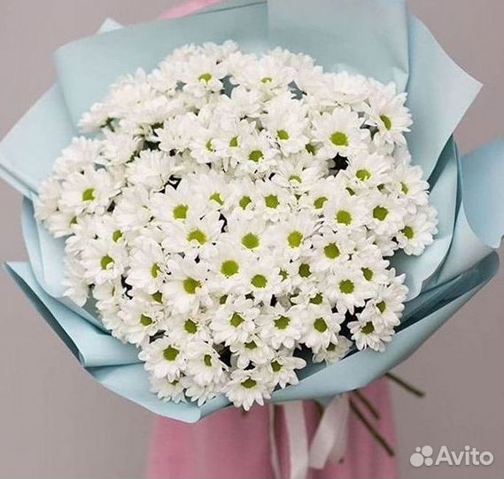 Хризантема Доставка цветов