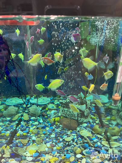 Аквариум