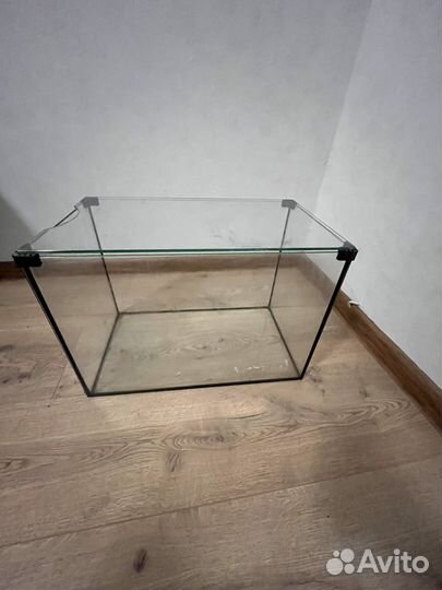 Аквариумные рыбки