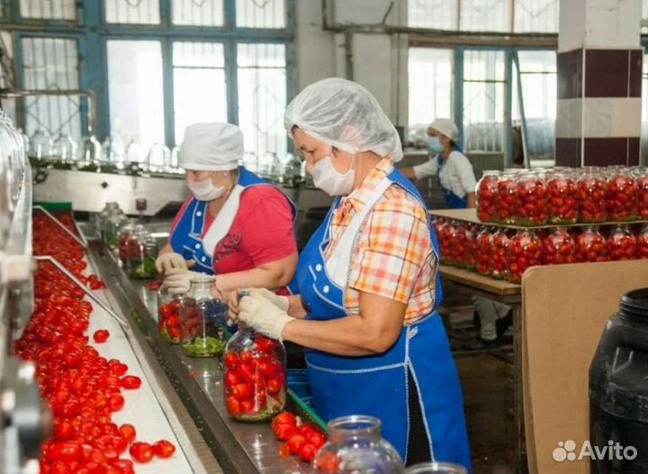 Фасовщицы. Вахтой