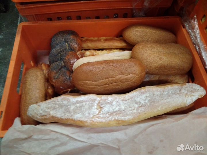 Хлеб на корм животным