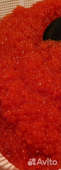 Красная икра 1 кг с доставкой