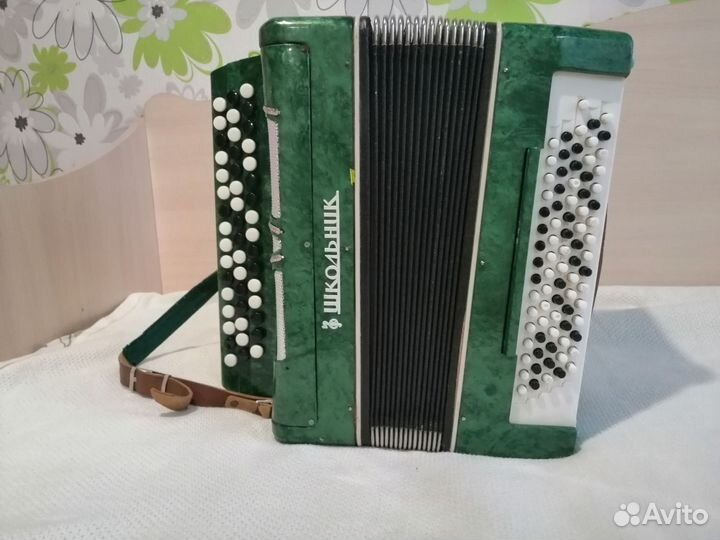 Баян школьник