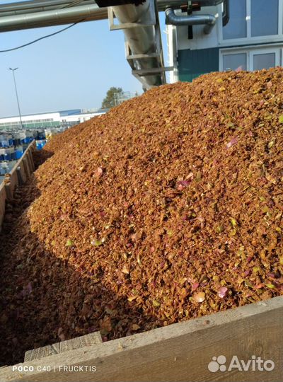 Жом яблочный - выжимки фруктовые и ягодные