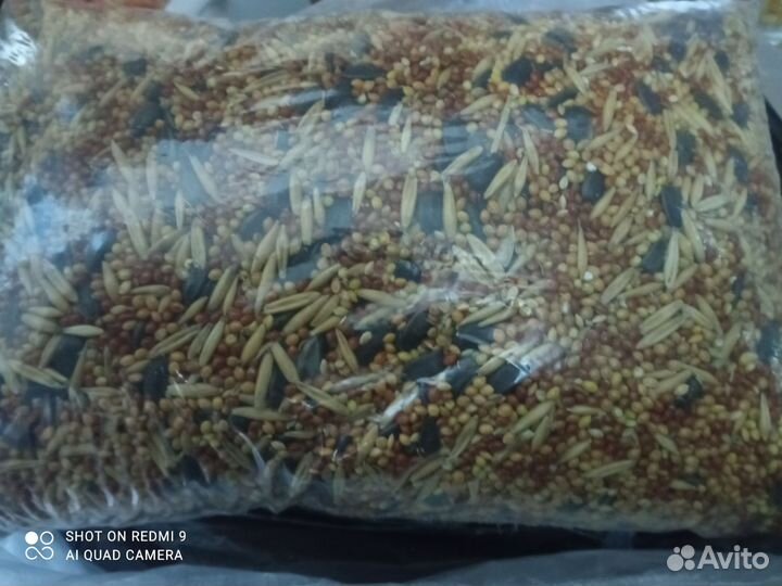 Корм для крупных попугаев