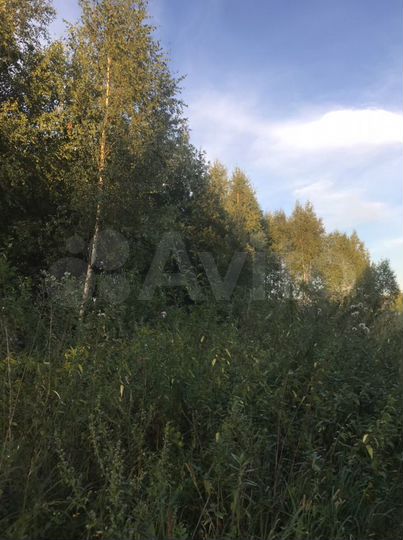 Участок 25 сот. (ИЖС)