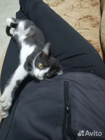 Очаровательная малышка