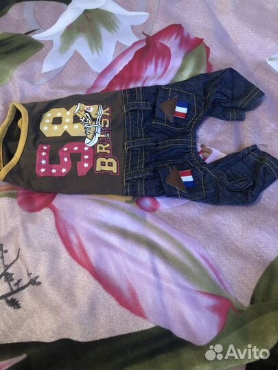 Одежда для собаки мальчика