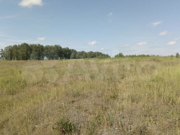 Участок 4,5 га (СНТ, ДНП)