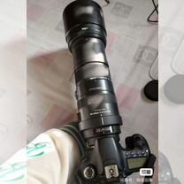Sigma 150-500mm F5-6.3 DG OS HSM, Санкт-Петербург
