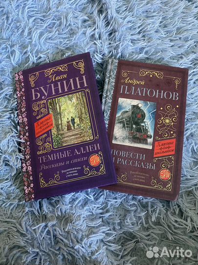 Книги Бунин, Платонов