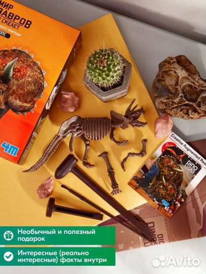 Игра для детей расскопай скелет динозавра