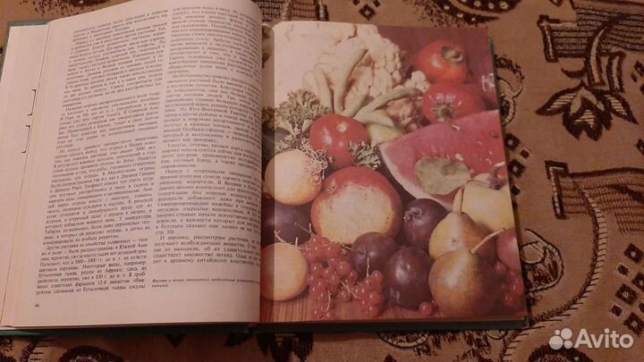 П.И.Тименский Сезонные работы в пчеловодстве. Плод