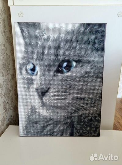 Картина постер кот