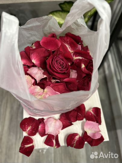 Лепестки роз