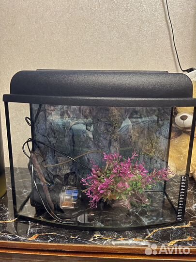 Аквариум 30 литров