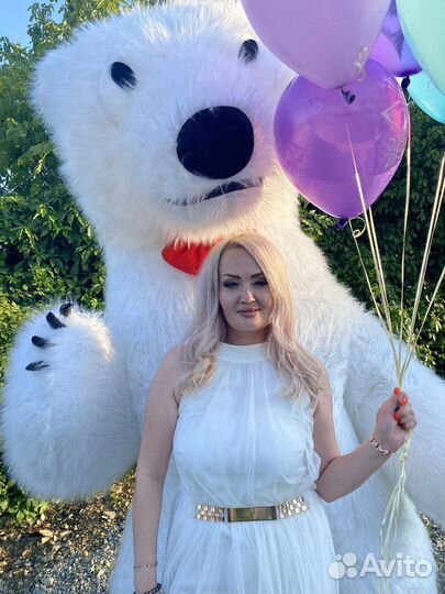 Аниматор/ поздравление от Белого медведя