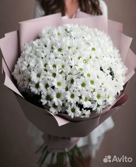 Букет ромашковых хризантем