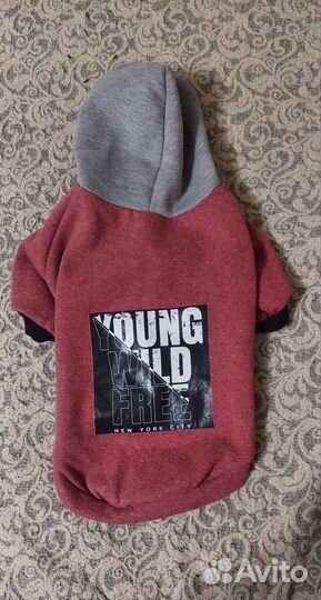 Одежда для собак