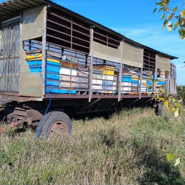 Продам пасеку с домом