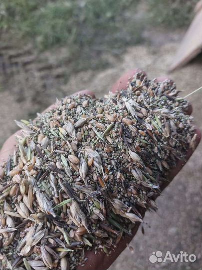 Зерноотходы