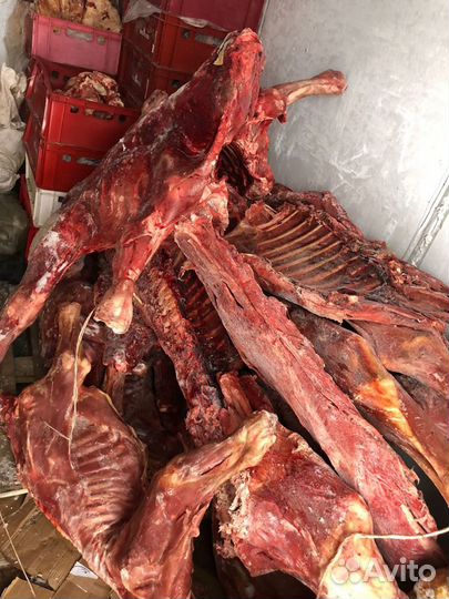 Мясо для собак