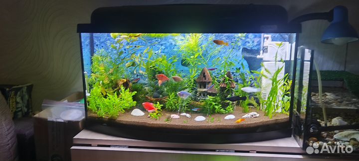 Аквариум