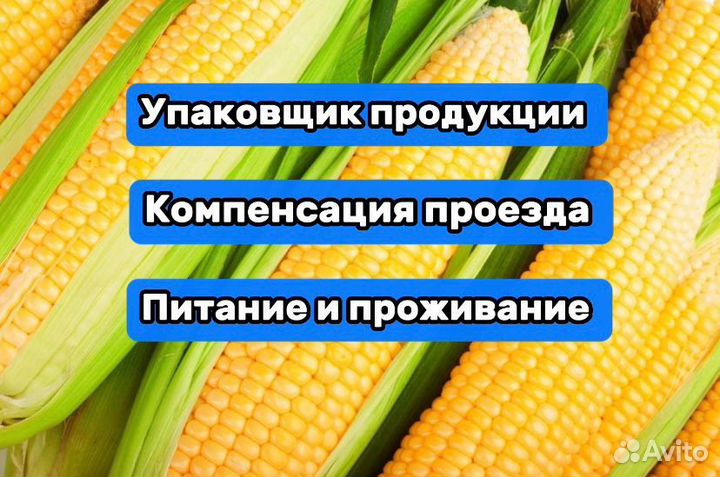 Упаковщики-Фасовщики/Подработка/ 15 смен