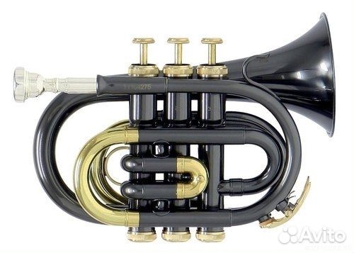 ROY benson PT-101K Bb, Карманная труба