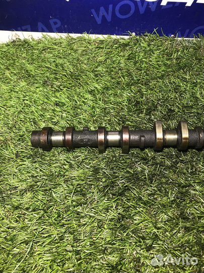 Распредвал (выпускной) Toyota Yaris 1NZ