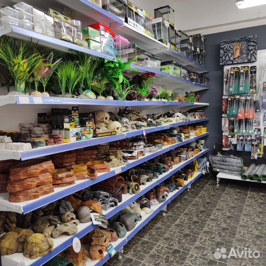 Товары для рептилий