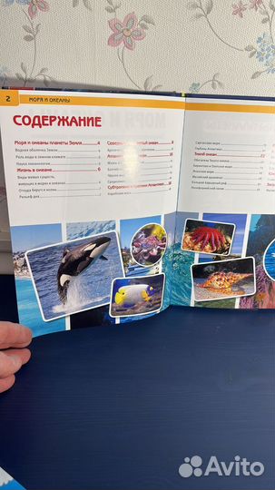 Детская энциклопедия Моря и Океаны