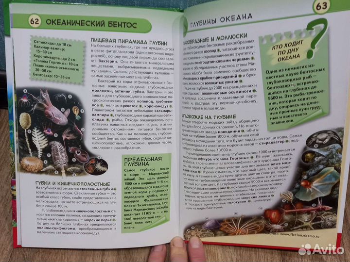 Детские энциклопедии