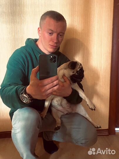 Муж на час