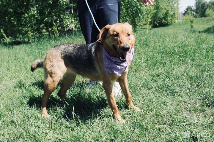 Красавица Баффи ждёт своего человека