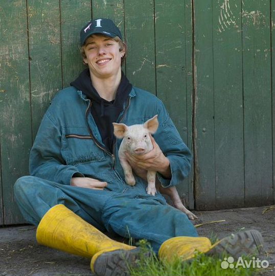 Фермер с проживанием и питанием (вахта)