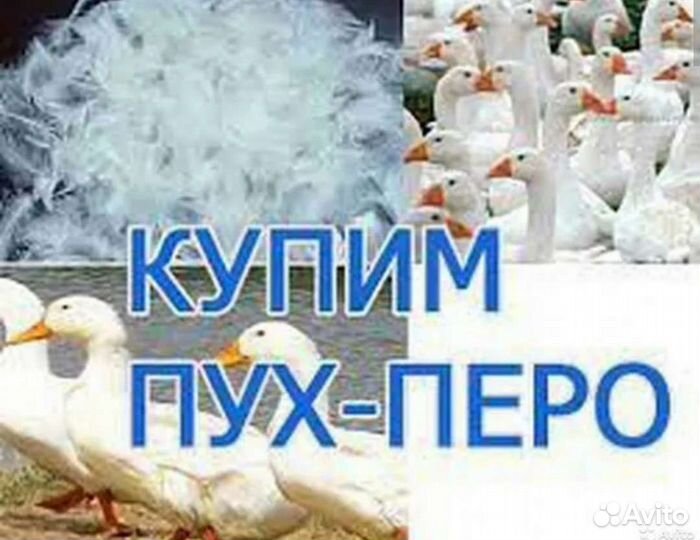 Скупаю пух-перо,перины,подушки,свежий