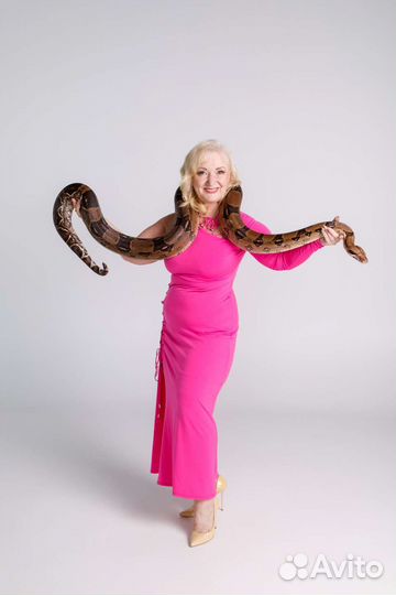 Фотосессия со змеёй, аренда экзотических животных