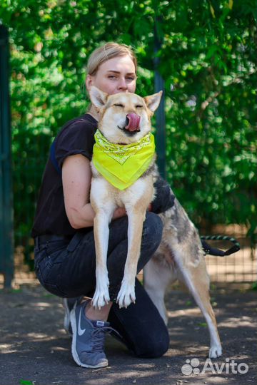 Чудесная девочка Кетрин бесплатно