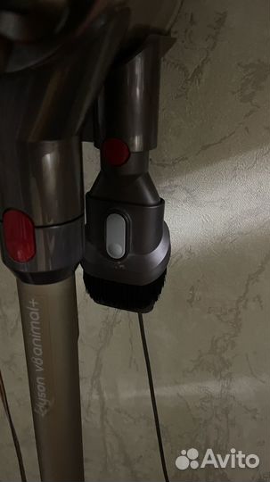 Пылесос Dyson v8 absolute