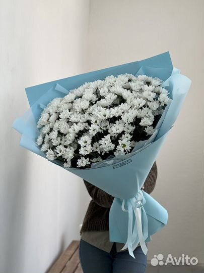 Хризантема кустовая ромашковая. Букет ромашек